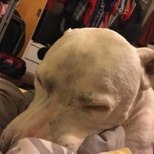 Meet your Posher, Mary beth